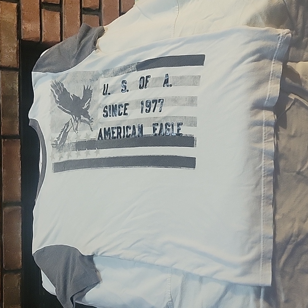 American Eagle classic fit t-shirt size small.